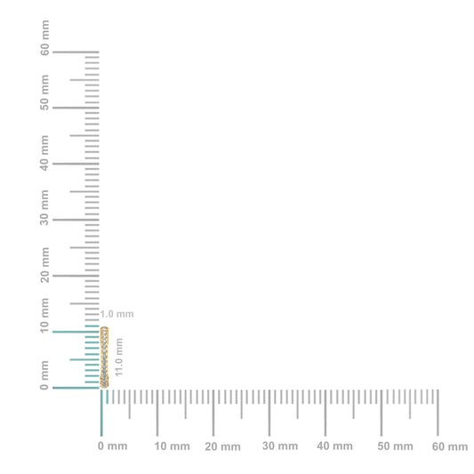 10K yellow gold diamond hoop earrings elegantly designed for a luxurious look