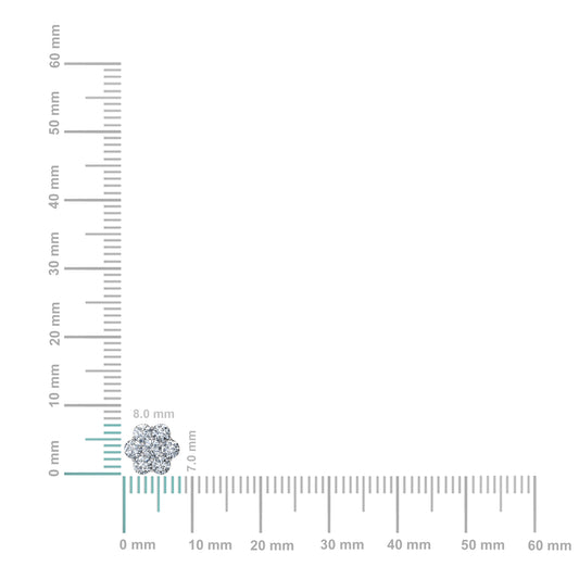 Sterling Silver Round Cz Flower Stud Earrings RP